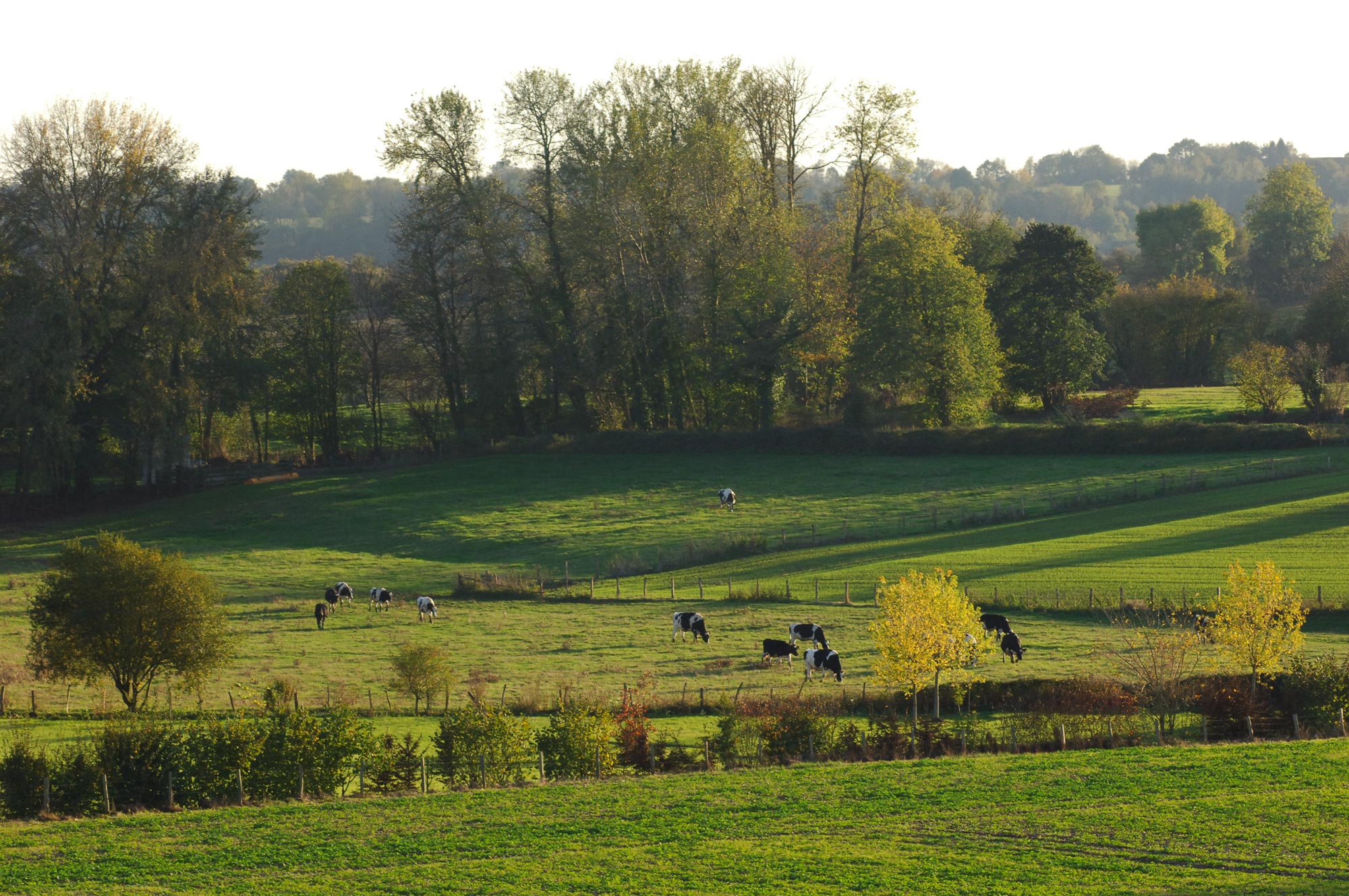 Le Perche © Olivier Steigel